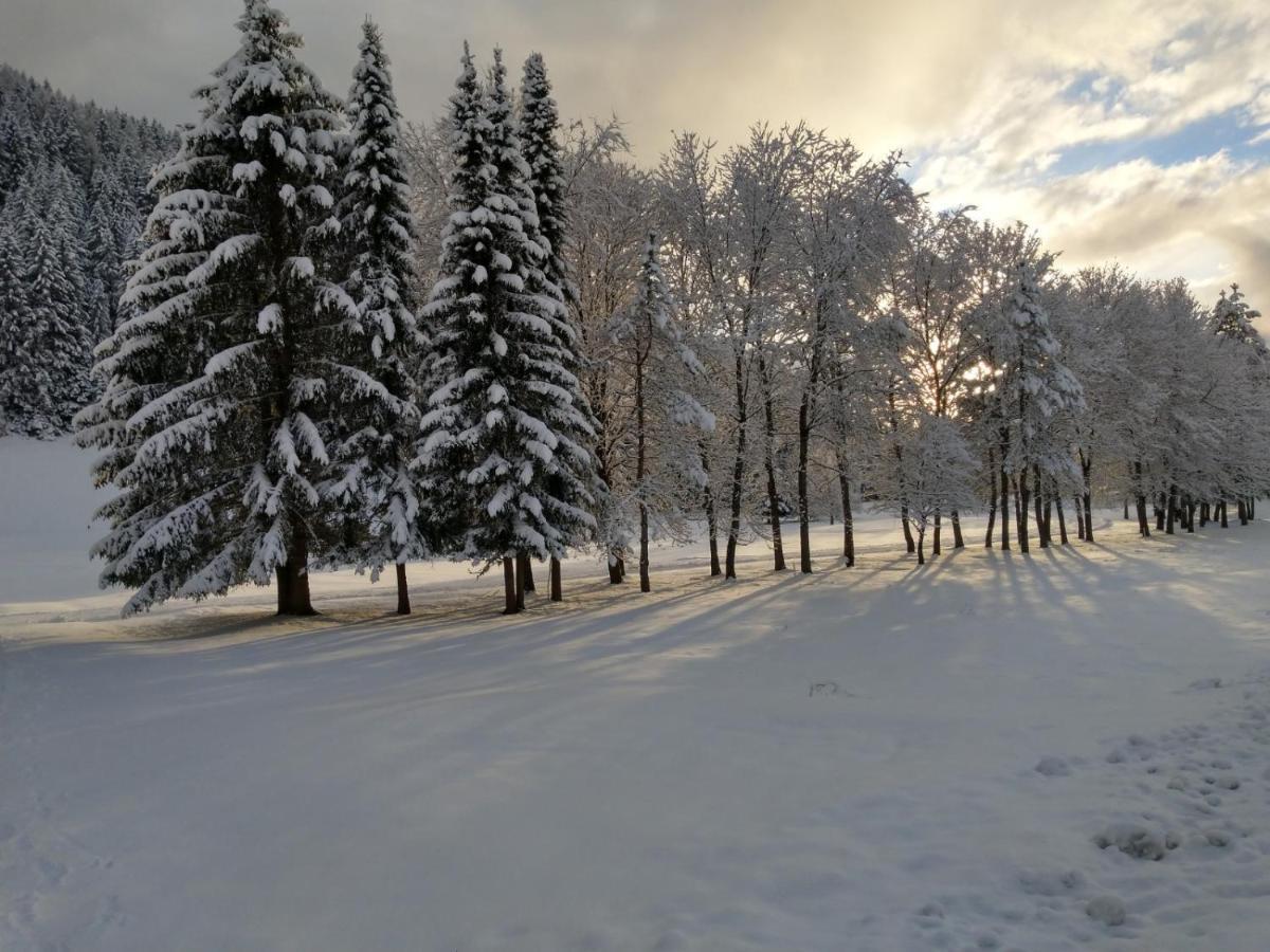Alpenlandhof Apartment Бад Клайнкирххайм Екстериор снимка